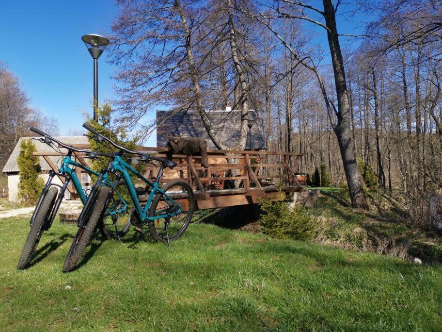 Vodenica Vrelo Chalets Vrelo Koreničko Esterno foto