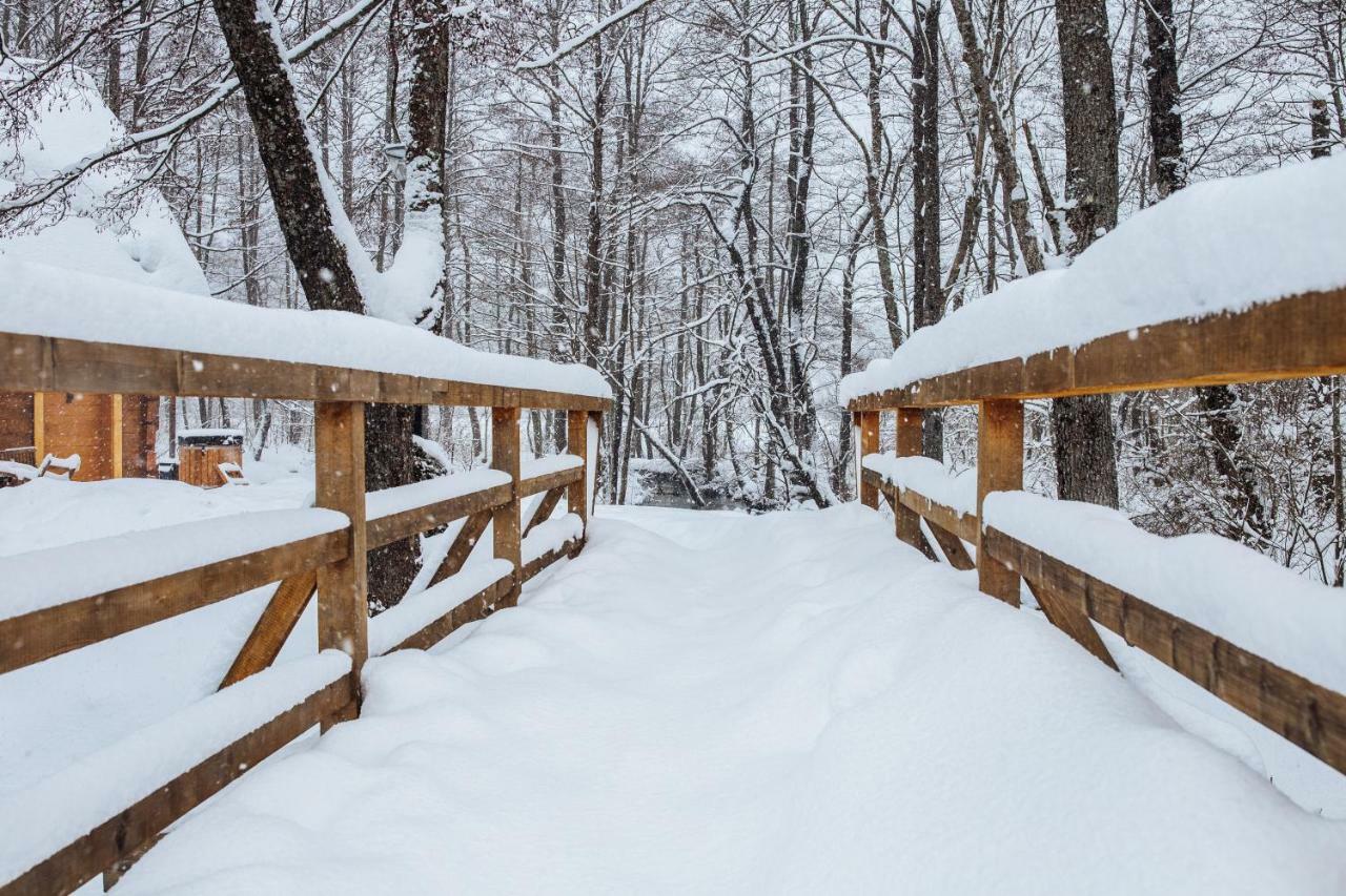 Vodenica Vrelo Chalets Vrelo Koreničko Esterno foto
